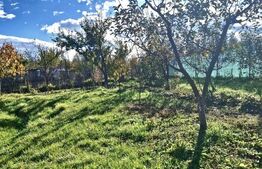 Casă bătrânească cu teren generos, în satul Mănăstireni – liniște și natură