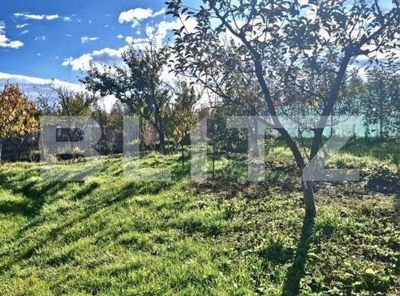 Casa de vânzare 3 camere Exterior Sud - 180911CV | BLITZ Botoșani | Poza5