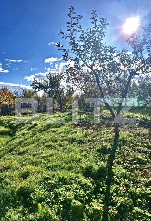 Casa de vânzare 3 camere Exterior Sud - 180911CV | BLITZ Botoșani | Poza5