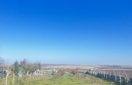 Teren intravilan 5000 mp Oraseni Deal