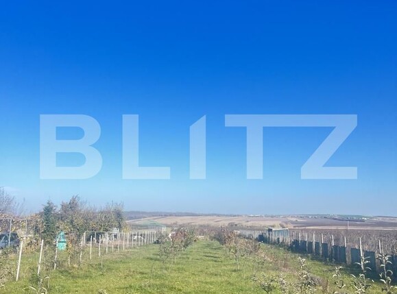 Teren de vânzare Oraseni-Deal - 181162TV | BLITZ Botoșani | Poza1