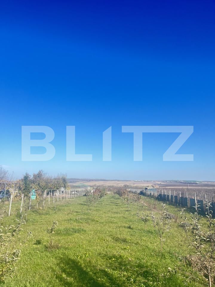 Teren de vânzare Oraseni-Deal - 181162TV | BLITZ Botoșani | Poza2
