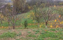 Casă bătrânească cu teren generos – 1.807 mp, Tulbureni