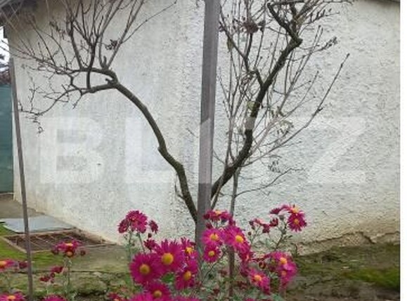 Casa de vânzare 2 camere Tulbureni - 181944CV | BLITZ Botoșani | Poza3