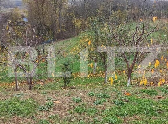 Casa de vânzare 2 camere Tulbureni - 181944CV | BLITZ Botoșani | Poza4