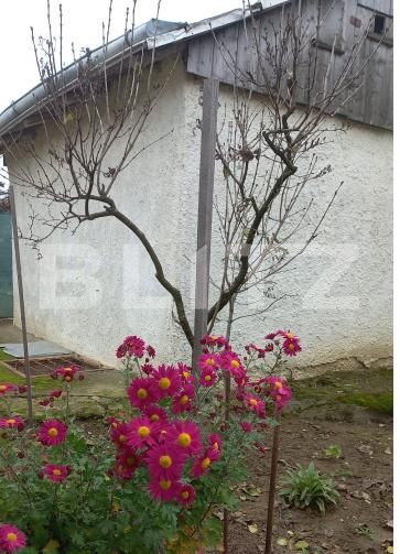 Casa de vânzare 2 camere Tulbureni - 181944CV | BLITZ Botoșani | Poza3