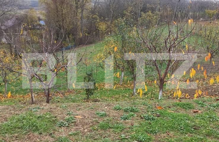 Casa de vânzare 2 camere Tulbureni - 181944CV | BLITZ Botoșani | Poza4