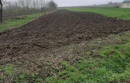 Teren de vânzare Dorohoi - 153040TV | BLITZ Botoșani | Poza2