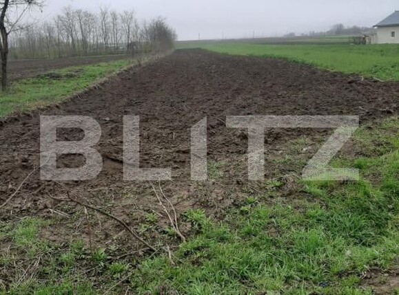 Teren de vânzare Dorohoi - 182193TV | BLITZ Botoșani | Poza1