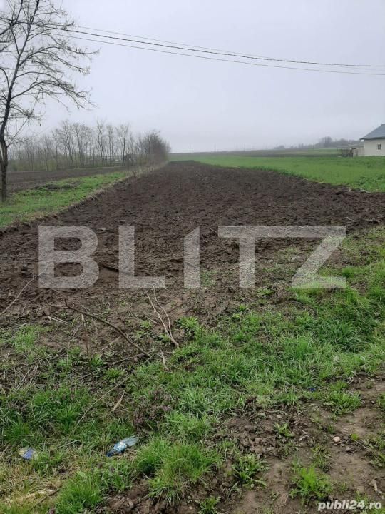 Teren de vânzare Dorohoi - 182193TV | BLITZ Botoșani | Poza1