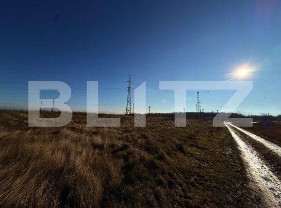 Teren de vânzare Baisa - 182864TV | BLITZ Botoșani | Poza1