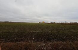 Teren de vânzare Rachiti - 181177TV | BLITZ Botoșani | Poza2