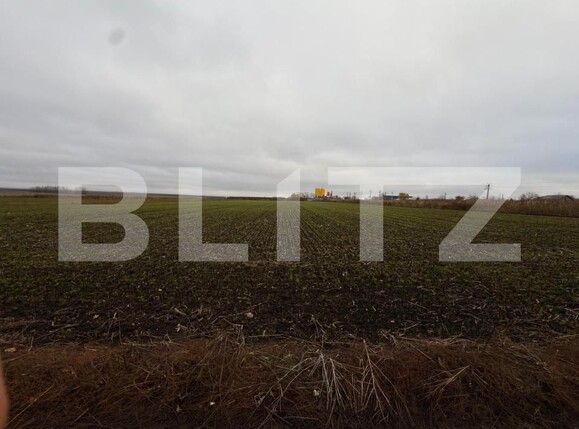 Teren de vânzare Catamaresti-Deal - 182881TV | BLITZ Botoșani | Poza1