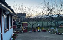 Două Case pe Același Teren în Cucorăni – Proprietate Unică, Aproape de Botoșani