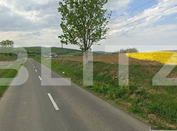 Teren de vânzare Exterior Est - 183379TV | BLITZ Botoșani | Poza1