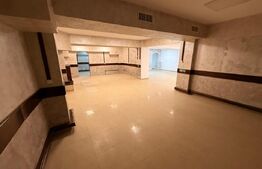 Spatiu comercial - zona Romarta