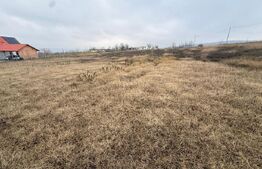 Teren intravilan de vanzare, 1250 mp - Ipotesti 
