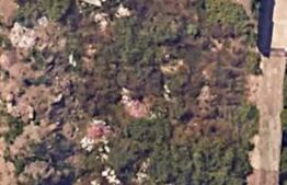 Teren de vânzare Oraseni-Deal - 172053TV | BLITZ Botoșani | Poza4