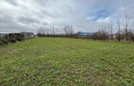 Casa batraneasca cu teren intravilan Bucecea