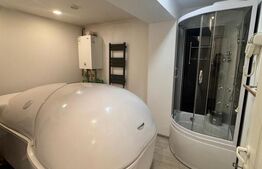 Spațiu comercial - 120 mp – Zona Stejari