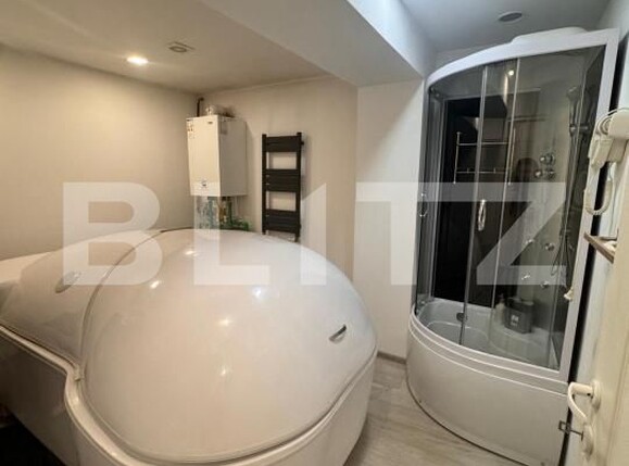 Spațiu comercial de închiriat Sud-Vest - 183831SIC | BLITZ Botoșani | Poza2