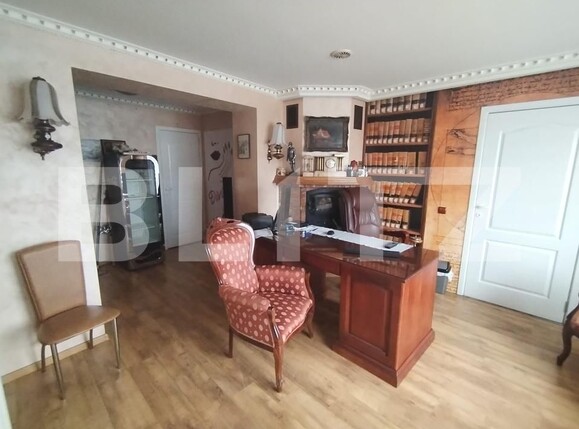 Spațiu comercial de închiriat Sud-Vest - 183831SIC | BLITZ Botoșani | Poza1