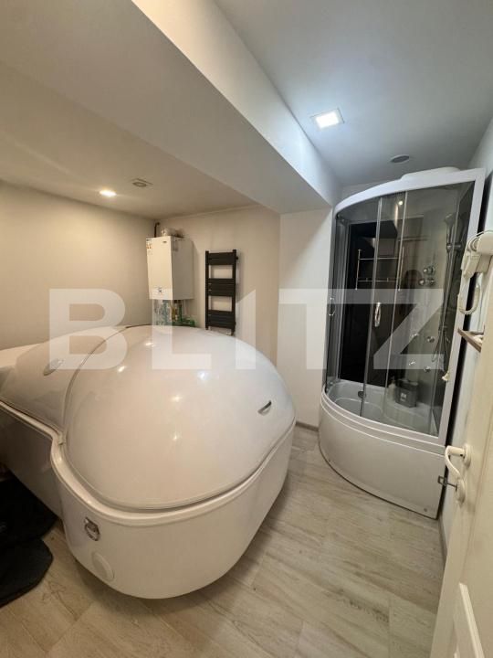 Spațiu comercial de închiriat Sud-Vest - 183831SIC | BLITZ Botoșani | Poza2