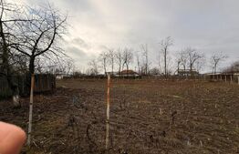 Casa Soroceni 2300mp