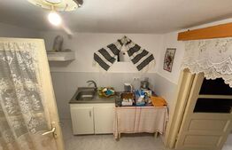 Casa Soroceni 2300mp