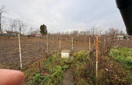 Casa Soroceni 2300mp