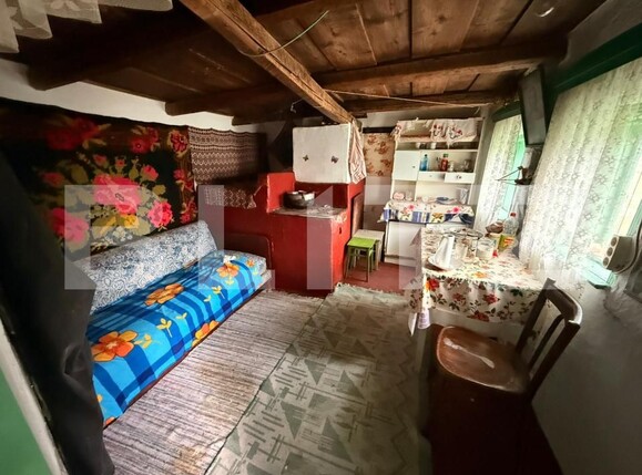 Casa de vânzare 4 camere Exterior Vest - 184145CV | BLITZ Botoșani | Poza19