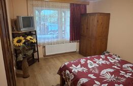 Casă, teren, anexe – Unțeni, Burlești - Proprietate cu potențial!