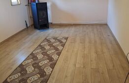 Casă, teren, anexe – Unțeni, Burlești - Proprietate cu potențial!