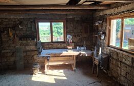 Casă, teren, anexe – Unțeni, Burlești - Proprietate cu potențial!