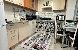 Casă individuală cu potențial de extindere, 510 mp teren – Lebăda