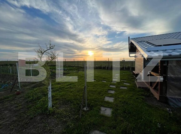 Teren de vânzare Nord-Est - 185072TV | BLITZ Botoșani | Poza2