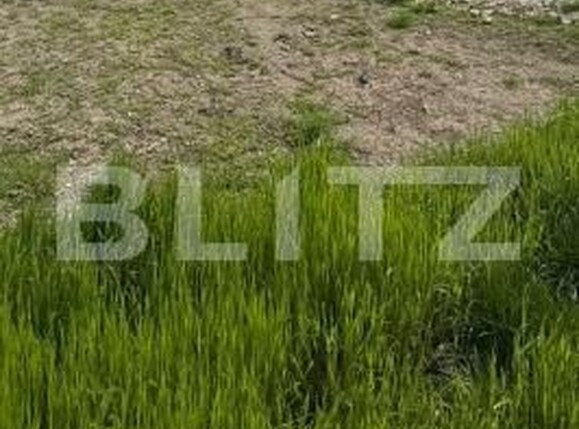 Teren de vânzare Vest - 185386TV | BLITZ Botoșani | Poza1