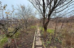 Teren intravilan de vânzare, Botosani - Central