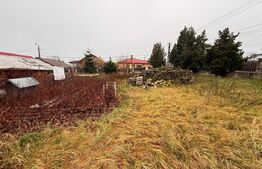 Teren intravilan de vânzare, Botosani - Central