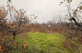 Teren intravilan de vânzare, Botosani - Central