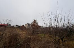 Teren intravilan de vânzare, Botosani - Central