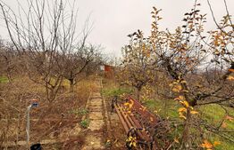 Teren intravilan de vânzare, Botosani - Central