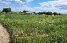 Teren Intravilan Curtesti 7500mp