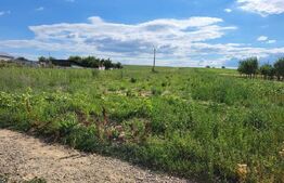 Teren Intravilan Curtesti 7500mp