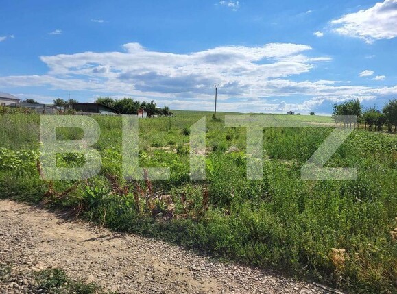 Teren de vânzare Sud - 185389TV | BLITZ Botoșani | Poza1