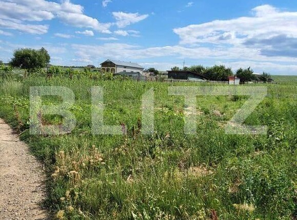 Teren de vânzare Sud - 185389TV | BLITZ Botoșani | Poza2