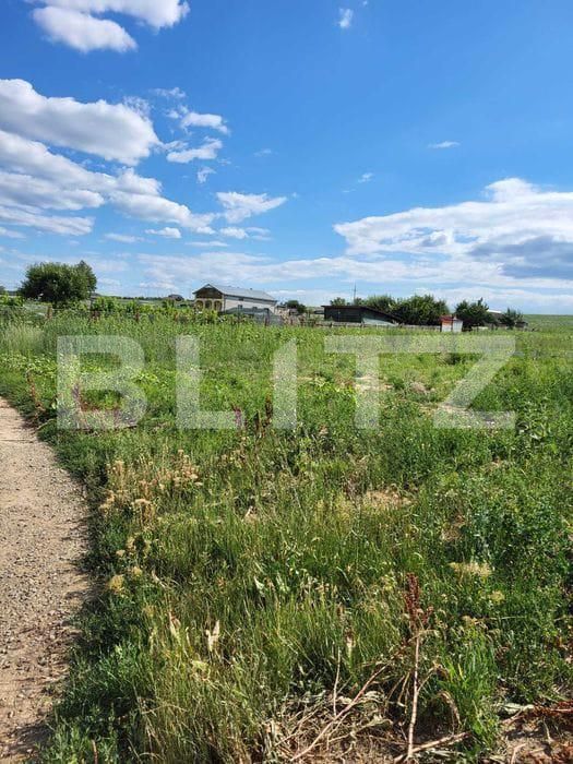 Teren de vânzare Sud - 185389TV | BLITZ Botoșani | Poza2