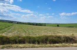 Teren de vânzare Curtesti - 186129TV | BLITZ Botoșani | Poza1