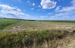 Teren Intravilan Manastirea Doamnei