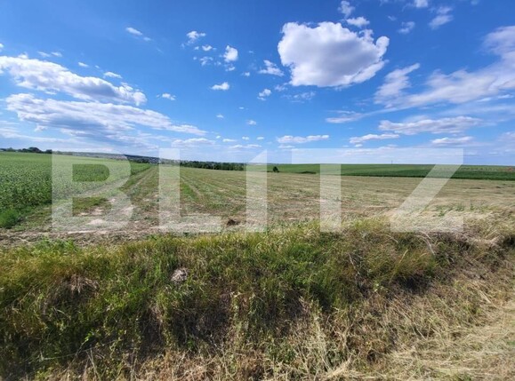 Teren de vânzare Vest - 185390TV | BLITZ Botoșani | Poza3